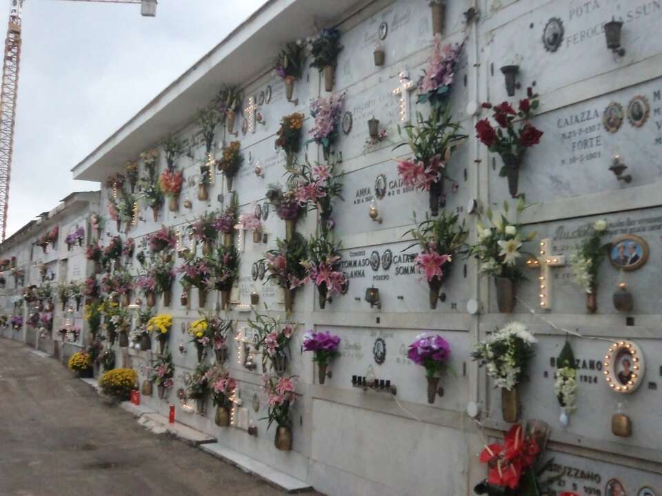 DSC00642