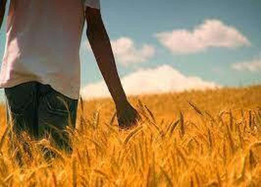 Ser obrero de la mies